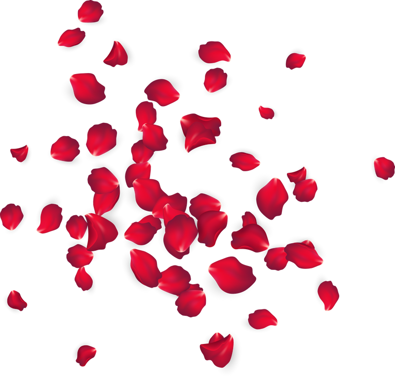 Red Rose Petals Illustration